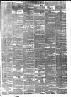 London Evening Standard Monday 23 October 1871 Page 7