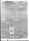 London Evening Standard Wednesday 17 November 1875 Page 3