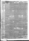 London Evening Standard Friday 19 November 1875 Page 3