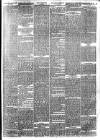 London Evening Standard Friday 04 February 1876 Page 3