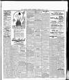 Durham County Advertiser Friday 13 April 1917 Page 5