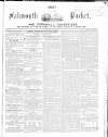 Lake's Falmouth Packet and Cornwall Advertiser Saturday 31 July 1858 Page 1