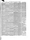 Lake's Falmouth Packet and Cornwall Advertiser Saturday 17 November 1883 Page 5