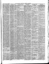 Lake's Falmouth Packet and Cornwall Advertiser Saturday 11 January 1890 Page 3