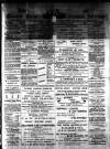 Lake's Falmouth Packet and Cornwall Advertiser Saturday 05 January 1895 Page 1
