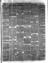 Lake's Falmouth Packet and Cornwall Advertiser Saturday 08 June 1895 Page 3