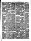 Lake's Falmouth Packet and Cornwall Advertiser Saturday 03 August 1895 Page 3