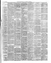 Lake's Falmouth Packet and Cornwall Advertiser Saturday 20 March 1897 Page 7