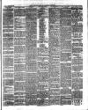 Lake's Falmouth Packet and Cornwall Advertiser Saturday 23 March 1901 Page 3