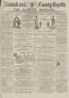 Alnwick Mercury Saturday 14 February 1885 Page 1