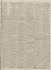 Alnwick Mercury Saturday 11 April 1885 Page 3
