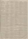 Alnwick Mercury Saturday 30 May 1885 Page 3