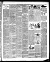 Alnwick Mercury Saturday 16 February 1889 Page 3
