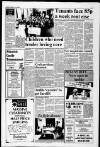 Alnwick Mercury Friday 16 July 1993 Page 13