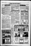 Alnwick Mercury Friday 20 August 1993 Page 11
