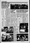 Alnwick Mercury Friday 07 January 1994 Page 19