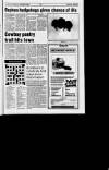 Alnwick Mercury Friday 08 September 1995 Page 33