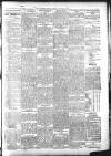 Southern Echo Tuesday 05 March 1889 Page 3