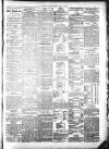 Southern Echo Tuesday 02 July 1889 Page 3