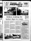 Leamington Spa Courier Friday 22 March 1985 Page 27