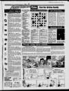 Sunderland Daily Echo and Shipping Gazette Saturday 09 January 1988 Page 19