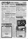 Sunderland Daily Echo and Shipping Gazette Thursday 02 February 1989 Page 31
