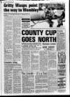 Sunderland Daily Echo and Shipping Gazette Saturday 01 April 1989 Page 43