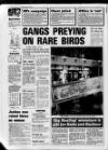 Sunderland Daily Echo and Shipping Gazette Friday 07 April 1989 Page 74