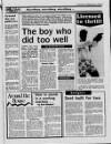 Sunderland Daily Echo and Shipping Gazette Wednesday 12 July 1989 Page 23