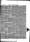 South Bucks Free Press Friday 18 July 1879 Page 5