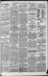 Birmingham Mail Tuesday 11 June 1872 Page 3