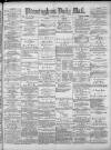 Birmingham Mail Friday 07 June 1878 Page 1