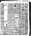Birmingham Mail Saturday 03 February 1900 Page 5