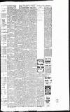 Birmingham Mail Thursday 01 September 1904 Page 5