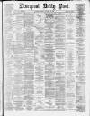Liverpool Daily Post Tuesday 11 November 1879 Page 1
