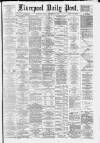 Liverpool Daily Post Friday 14 November 1879 Page 1