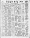 Liverpool Daily Post Saturday 15 November 1879 Page 1