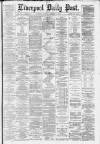 Liverpool Daily Post Tuesday 18 November 1879 Page 1