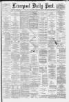Liverpool Daily Post Wednesday 19 November 1879 Page 1