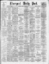 Liverpool Daily Post Tuesday 25 November 1879 Page 1