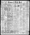 Liverpool Daily Post Monday 11 October 1880 Page 1