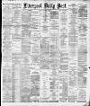 Liverpool Daily Post Monday 29 November 1880 Page 1