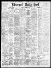 Liverpool Daily Post Saturday 13 November 1880 Page 1