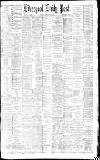 Liverpool Daily Post Saturday 18 February 1882 Page 1