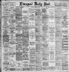 Liverpool Daily Post Tuesday 14 November 1893 Page 1
