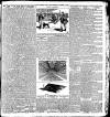 Liverpool Daily Post Wednesday 02 November 1904 Page 7