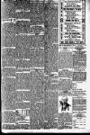 Northern Daily Telegraph Thursday 12 February 1903 Page 3