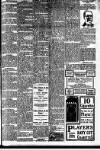 Northern Daily Telegraph Thursday 12 February 1903 Page 7