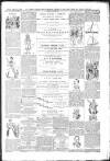 Sussex Express Friday 11 August 1893 Page 3