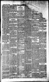 Sussex Express Saturday 04 January 1896 Page 16